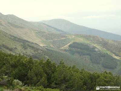 Pico del Lobo - Sierra de Ayllón; vacaciones en agosto fotos de santoña ruta madrid san sebastian la